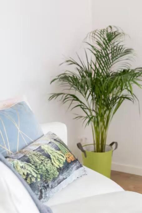 Apartmán Bbwestduin Haag Exteriér fotografie